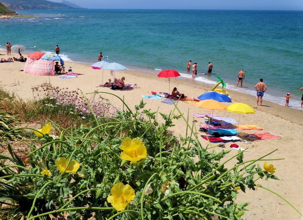 Studio - Separate Building,118677961:JPEG