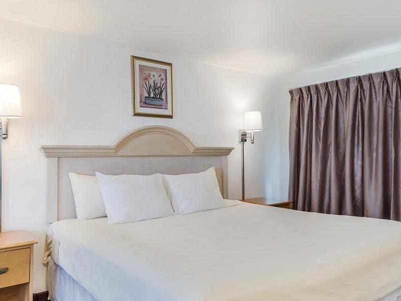 King Room,1132542624:JPEG