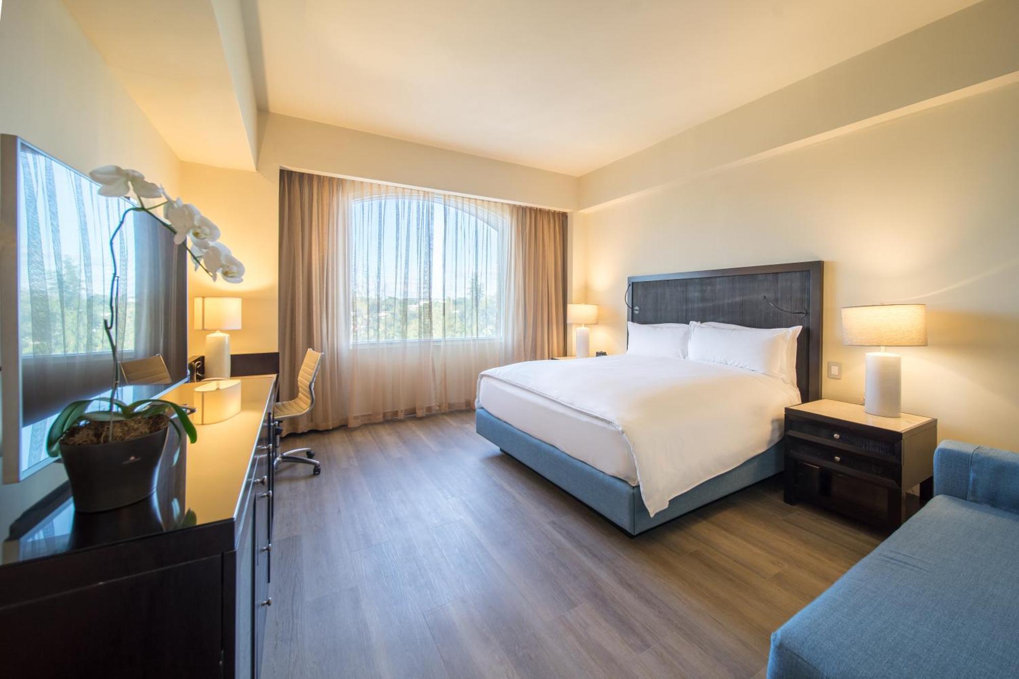 Presidential Suite,1312993789:JPEG