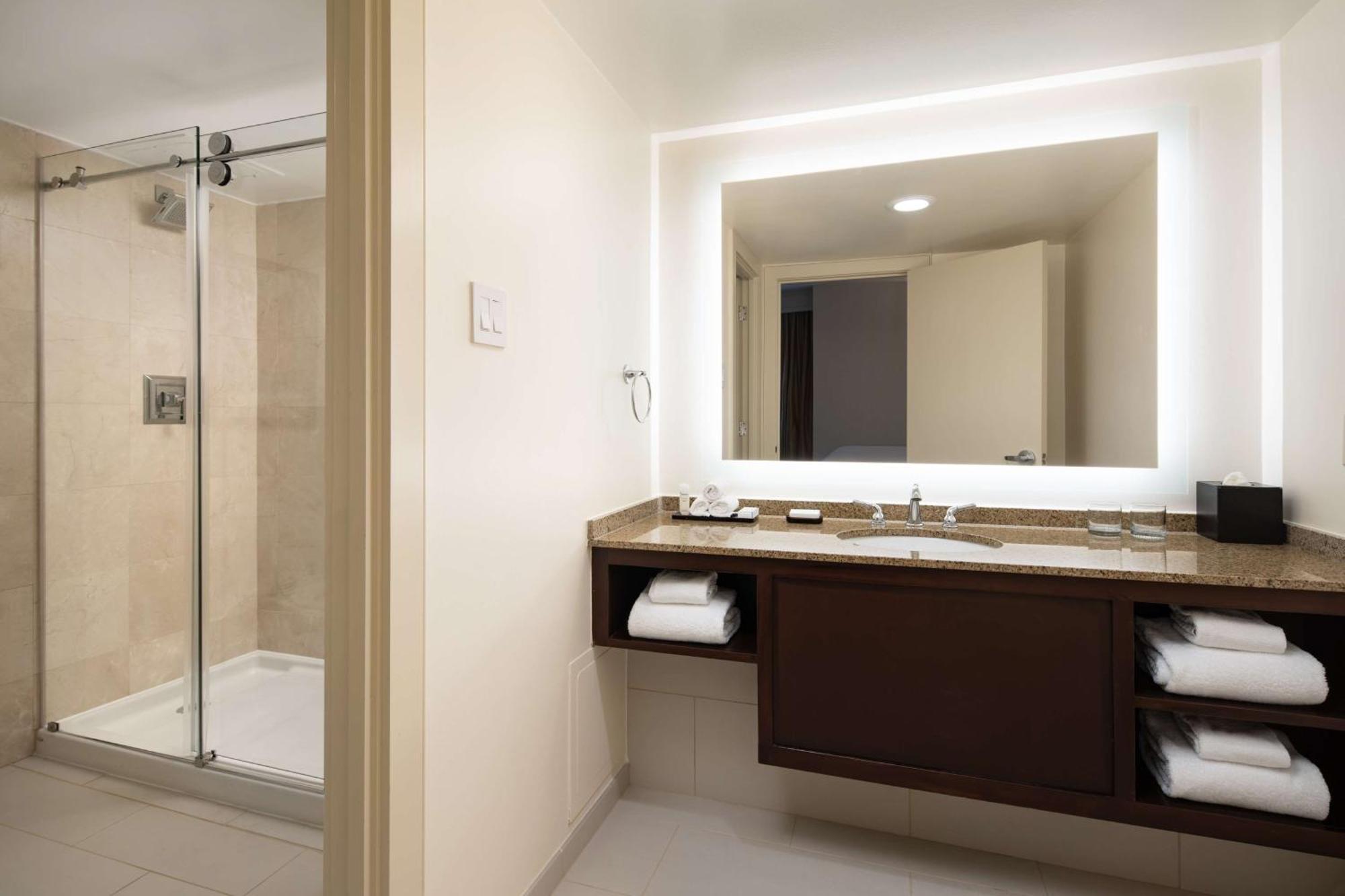 King Suite with Balcony and View