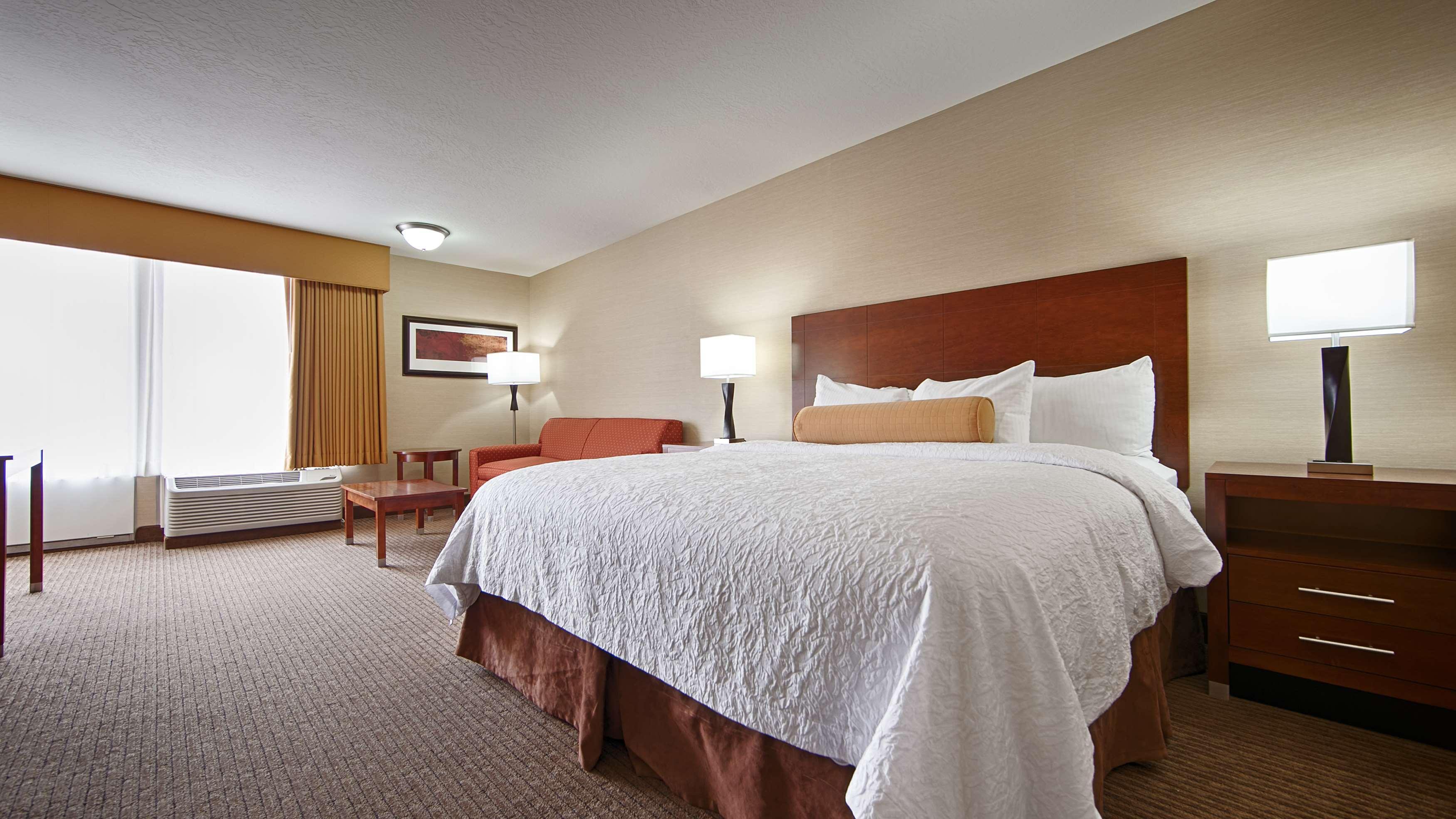 King Room with Sofa Bed-Pet Friendly,1622039109:JPEG