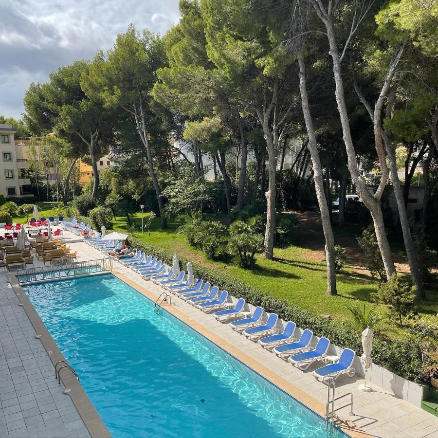 Superior Pool View,1412265644:JPEG