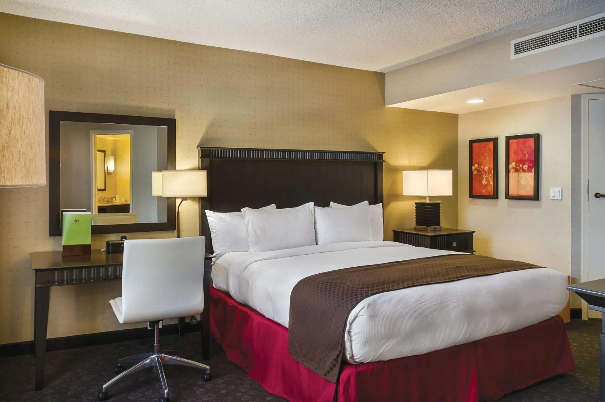 Two Room King Suite with Sofa Bed,1552332499:JPEG