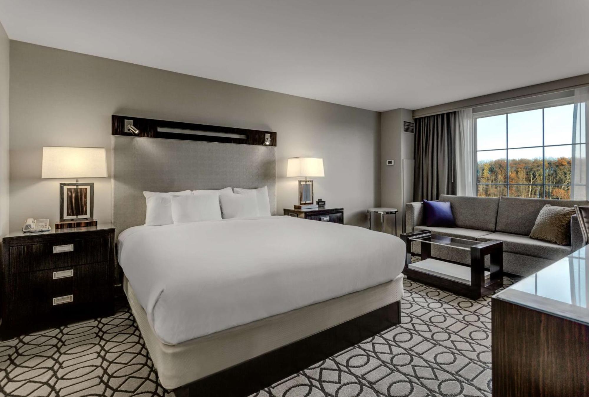 Deluxe King Room,1557816847:JPEG