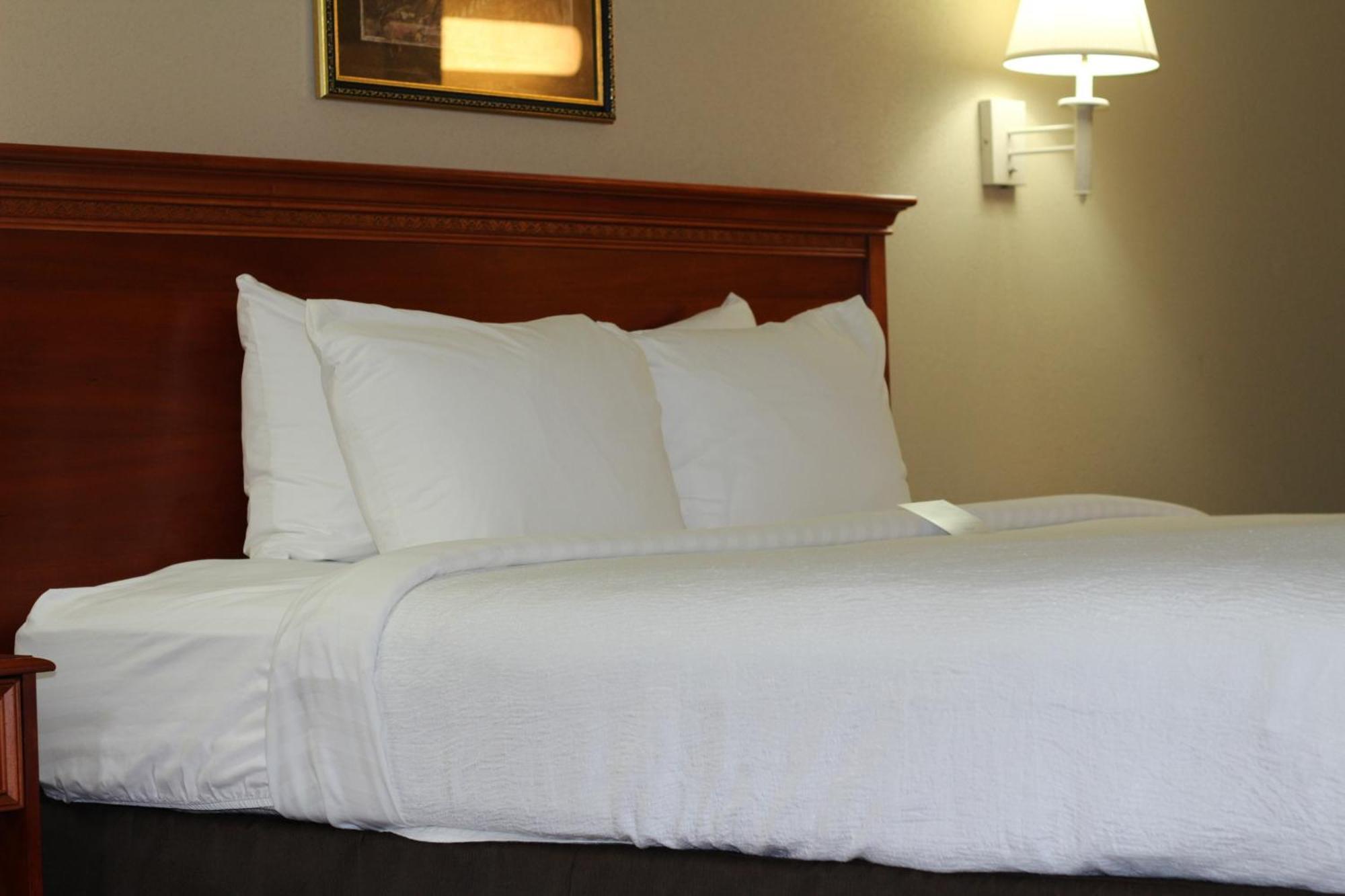 King Room with Roll-in Shower - Disability Access/Non-Smoking,113104497:JPEG