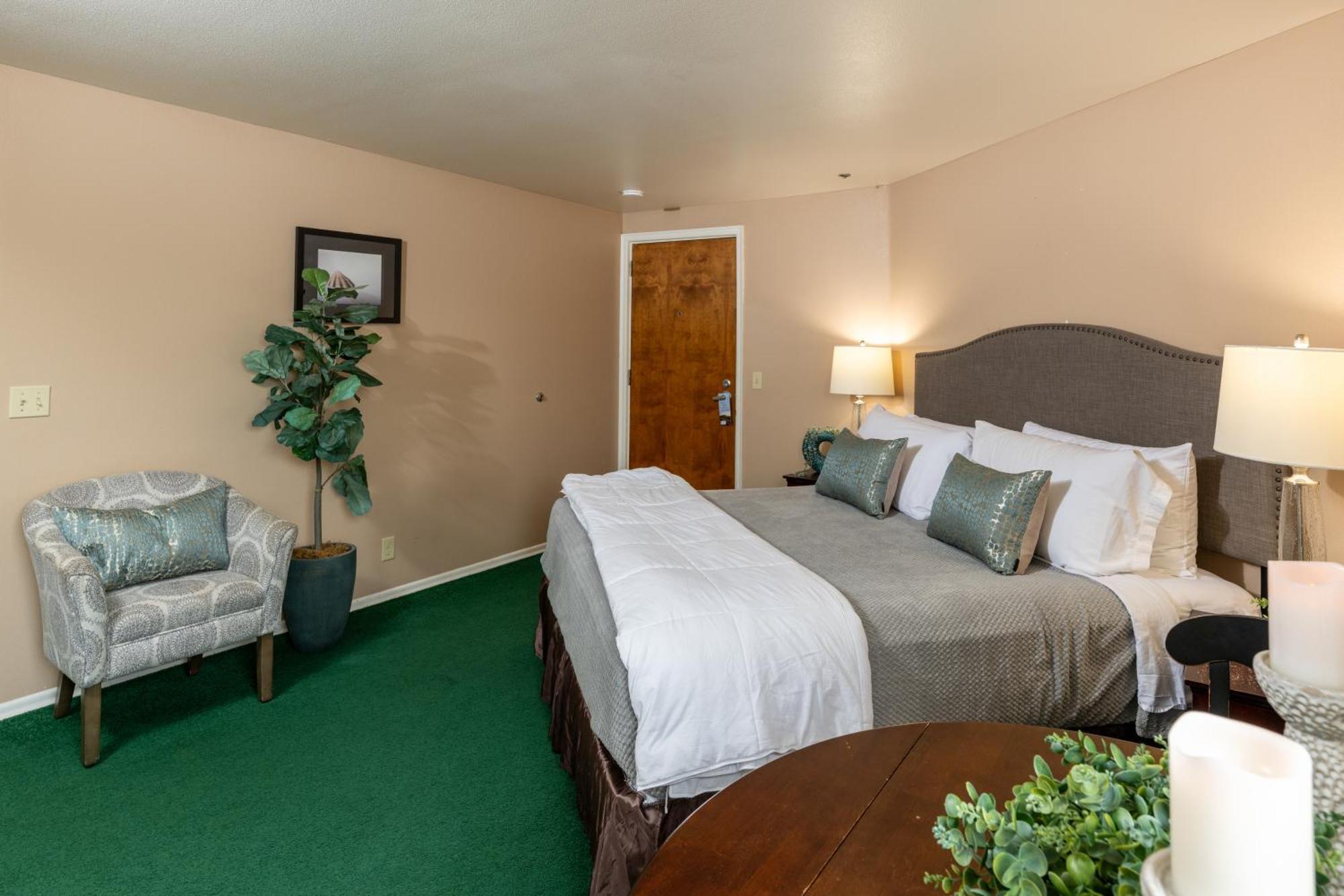King Room Mountain View Pet Friendly,1624773570:JPEG