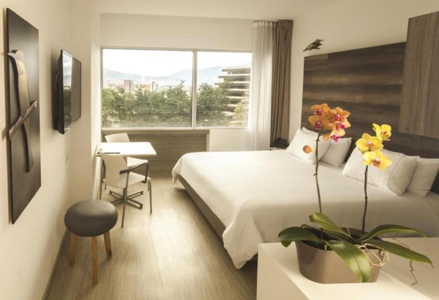 1 Queen Bed, Standard Room,1765393210:JPEG