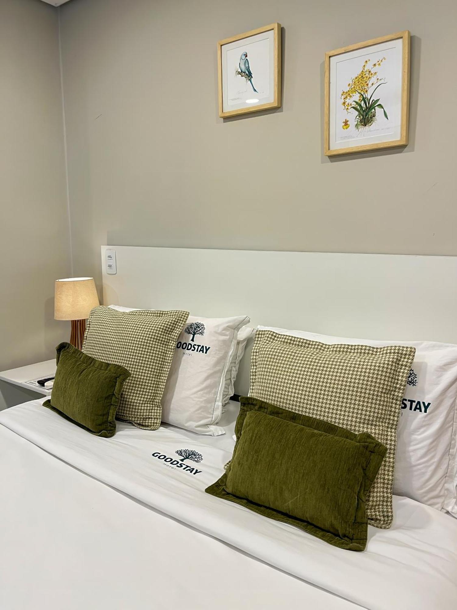 Standard Suite,1687662866:JPEG