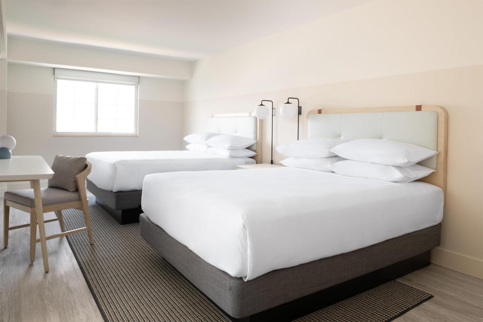 Studio with Two Queen Beds and Sofa Bed