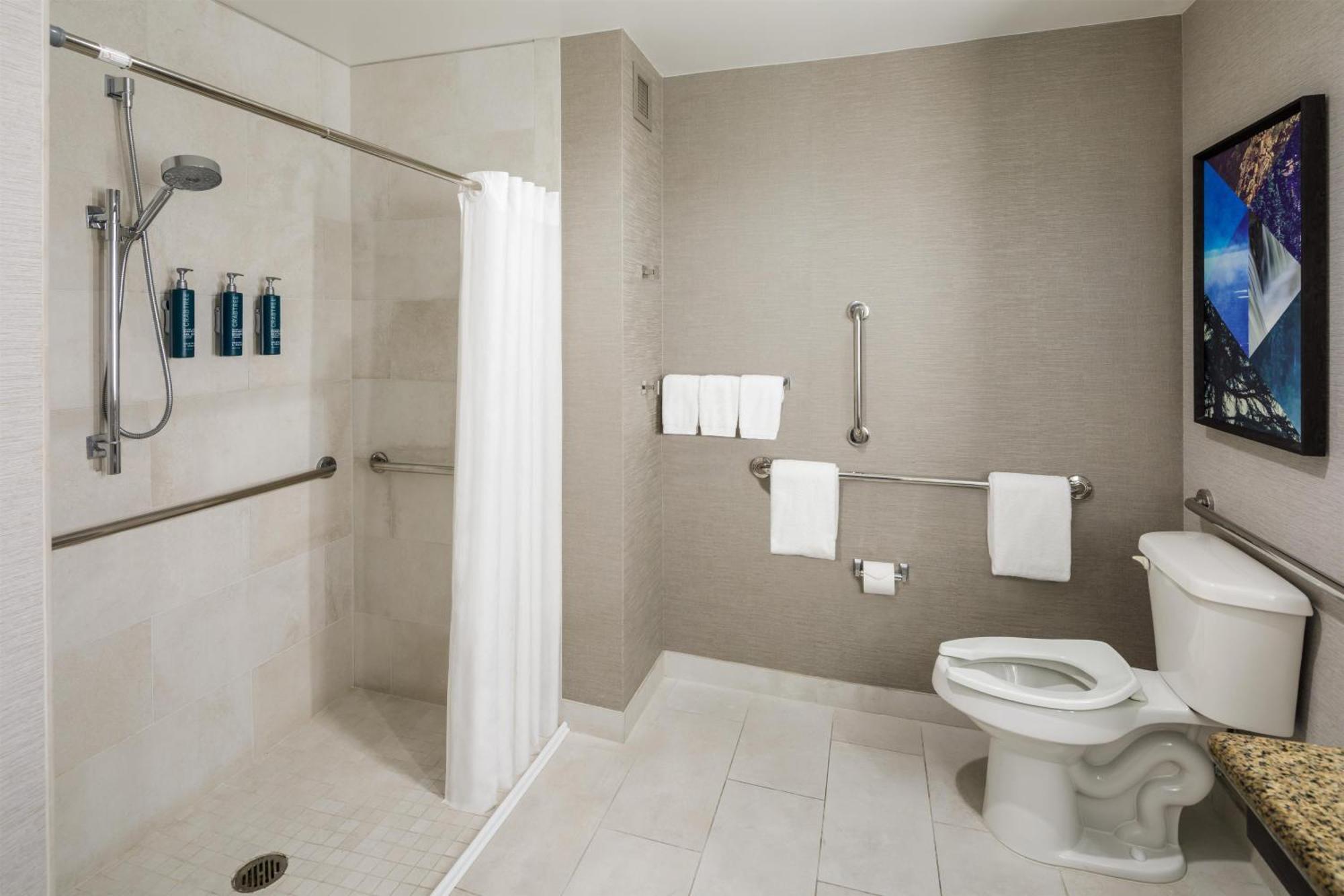 King Room Roll Shower Mobility Access