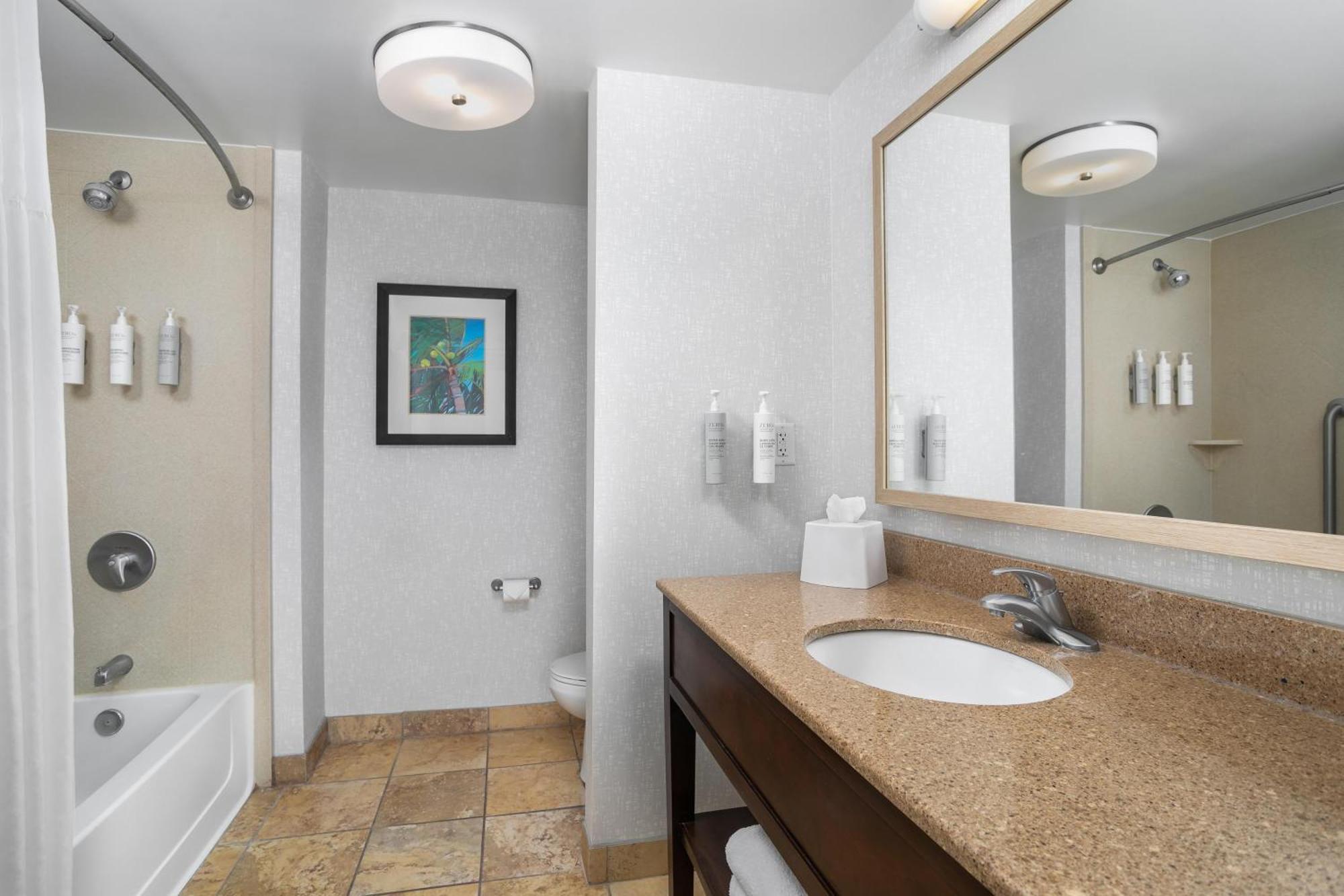King Room Mobility Access or Non-Smoking