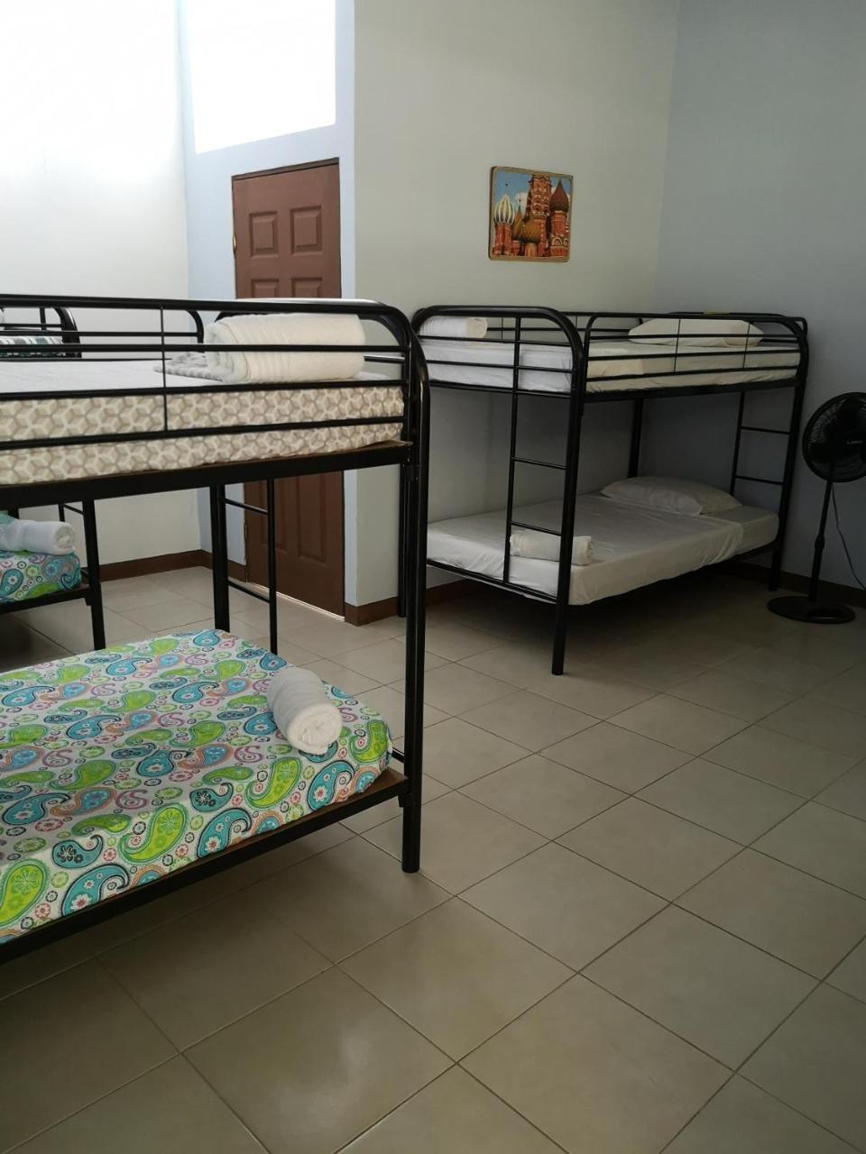 8-Bed Mixed Dormitory Room,749767802:JPEG