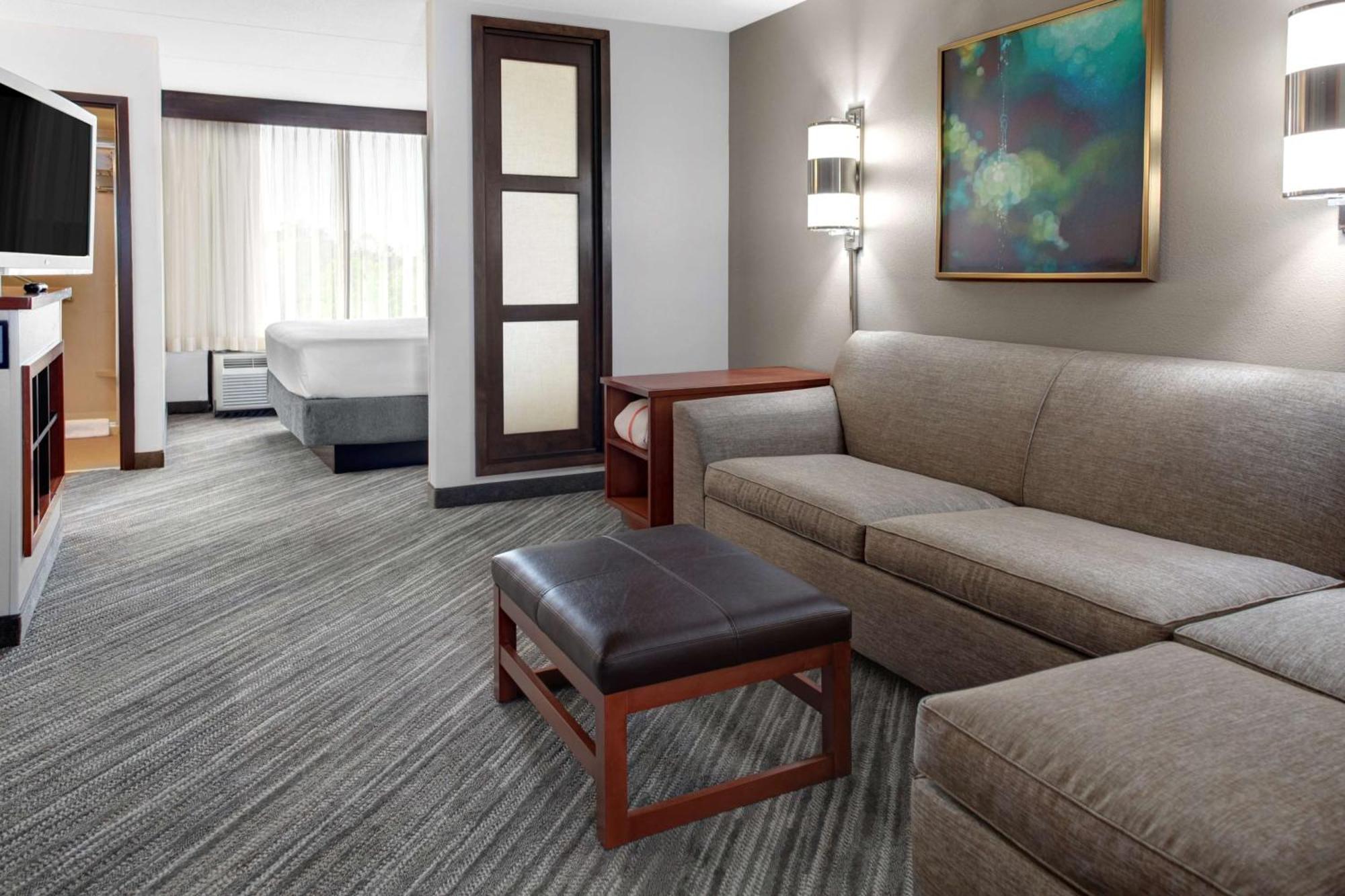 King Room Sofa Bed
