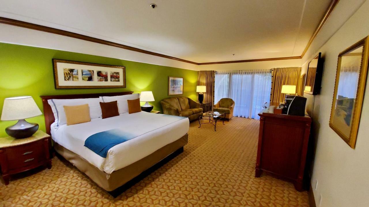 King Room City View