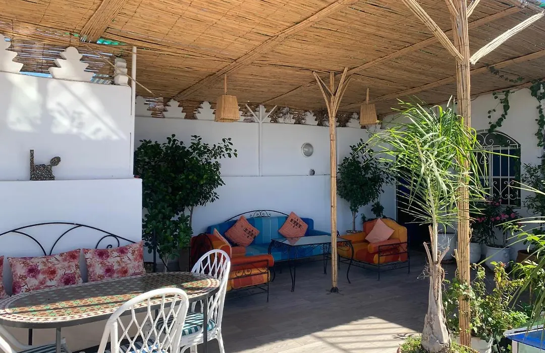 Riad Tingis-1