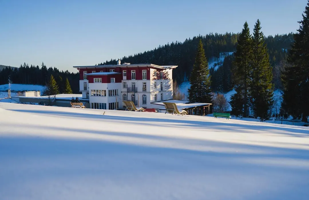 Das Waldhotel - Genuss & Wellness Am Notschreipass-1