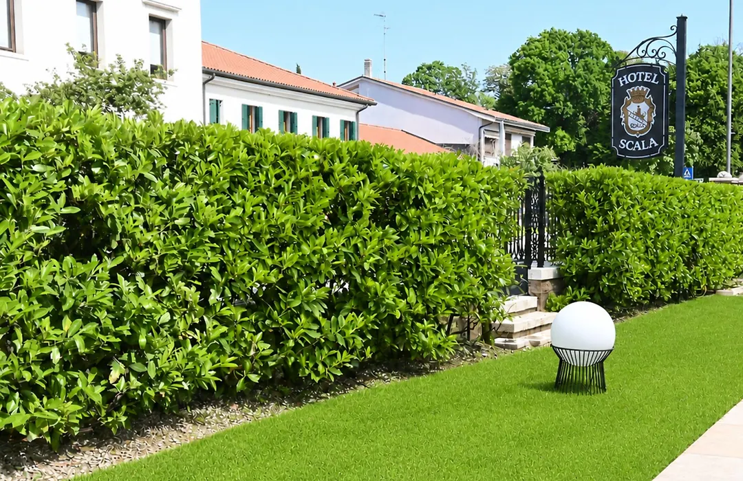 Hotel Scala - Buongiorno! Hotels-1