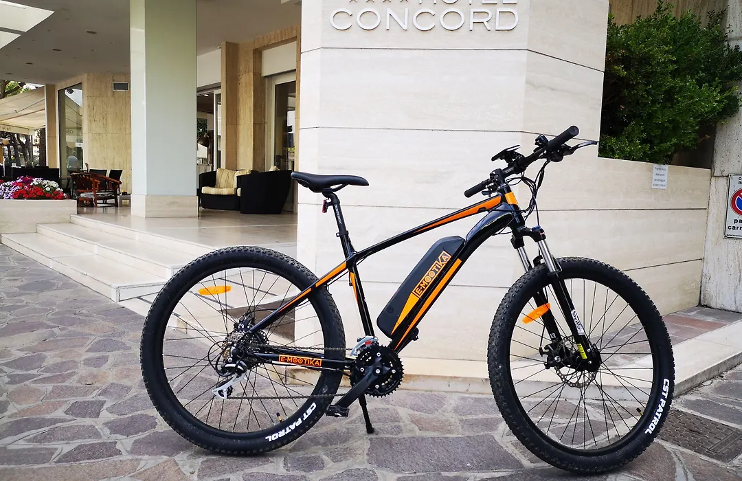 Hotel Concord - Nel Cuore Di Riccione-1