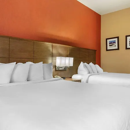 Comfort Inn Flagstaff Lucky Lane I-40-3