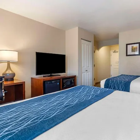Comfort Inn & Suites Ukiah Mendocino County-2