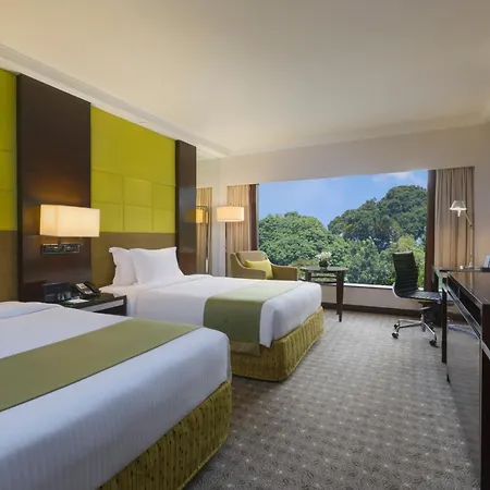 Holiday Inn Singapore Orchard City Centre By Ihg-2