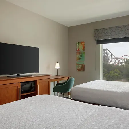 Hampton Inn & Suites By Hilton Tampa Busch Gardens Area-2