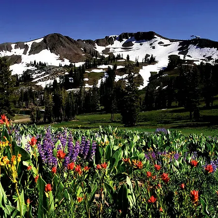 Palisades Tahoe Lodge-2