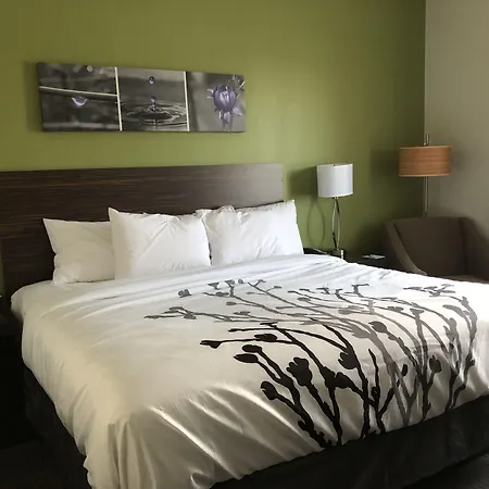 Comfort Inn St Louis Airport-2