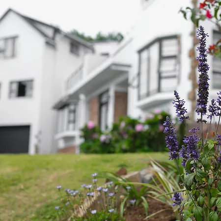 Hathaway Guest House-3
