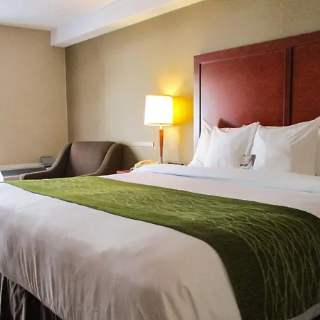 Comfort Inn Dartmouth-3