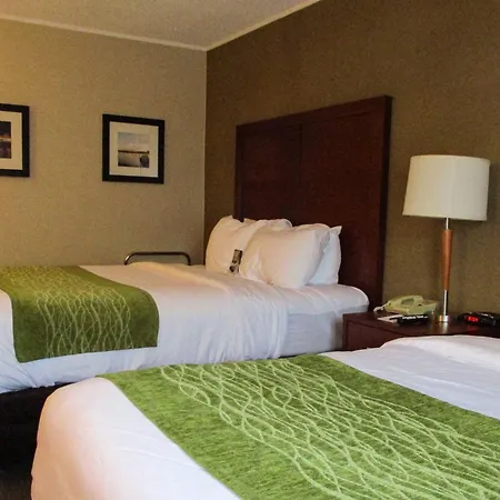 Comfort Inn Dartmouth-2