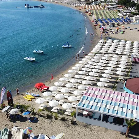B&B Marranzano-3