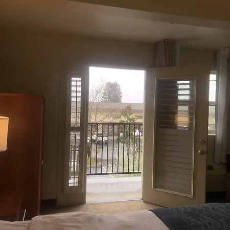 Comfort Inn & Suites Ukiah Mendocino County-3