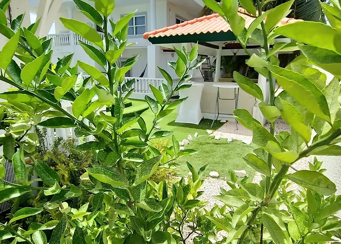 Adonai Hotel Boutique