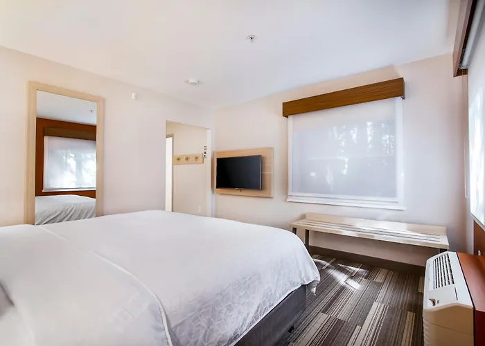 Holiday Inn Express & Suites Langley By Ihg