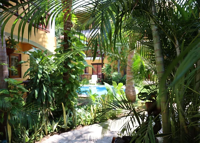 Hotel Bosque Caribe, 5Th Av. Zone