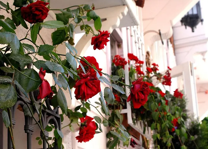Darussaade Hotel Old City - Sultanahmet Estambul