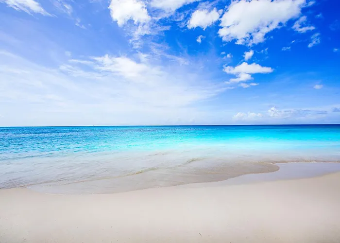 Conch Beach Cabins