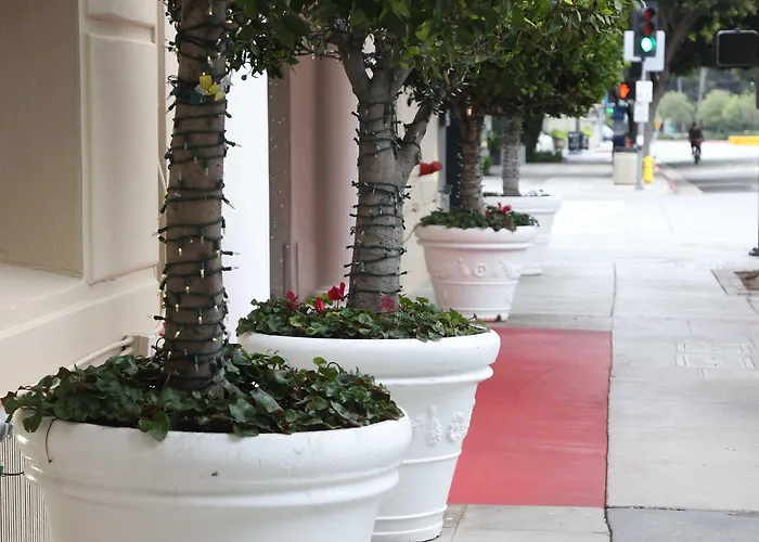 Hotel Carmel Santa Mónica