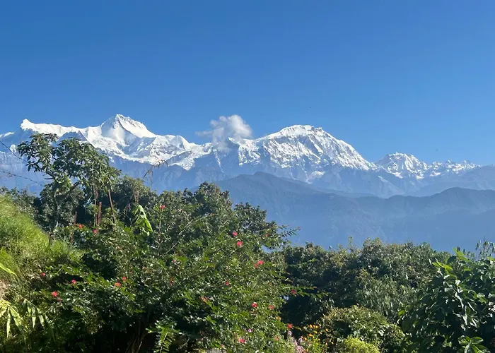 Hotel Pristine Himalaya