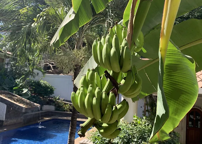 Hotel Flores (Adults Only)