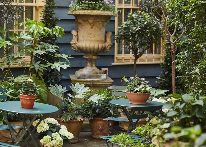 The Rookery