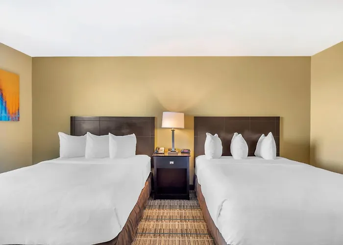 Mainstay Suites Jacksonville Near Camp Lejeune
