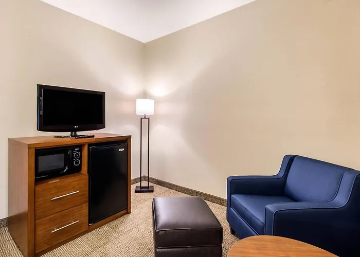 Comfort Inn & Suites Iah Bush Airport - East