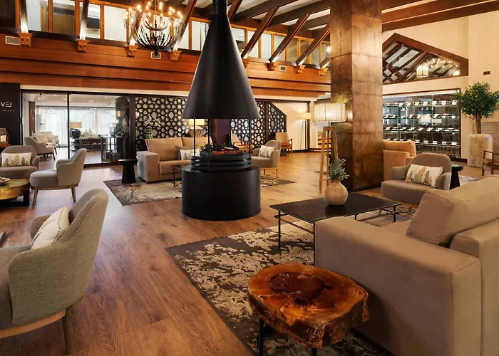 Hotel Melia Sierra Nevada