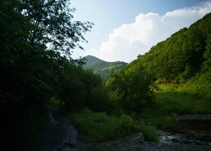 Anima Resort Aghveran - Forest Retreat