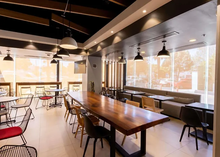 Ibis Tijuana