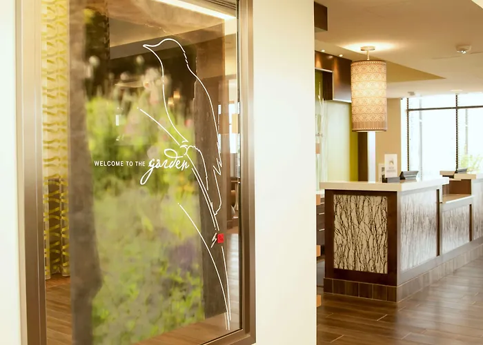 Hilton Garden Inn San Antonio-Live Oak Conference Center